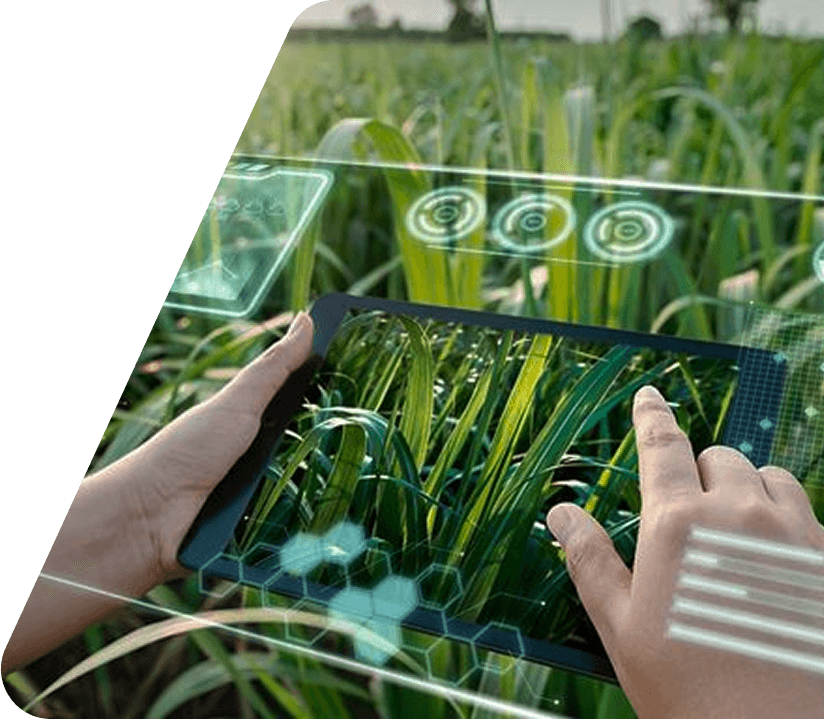 A person interacting with a tablet in a farm setting
