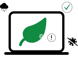 healthy crop monitoring and technology in agriculture.